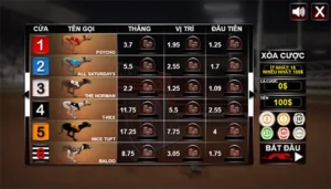 Bí Kíp Cách Chơi Game Nhanh Đua Chó Tại Sen88 Hiệu Quả Tuyệt Đối